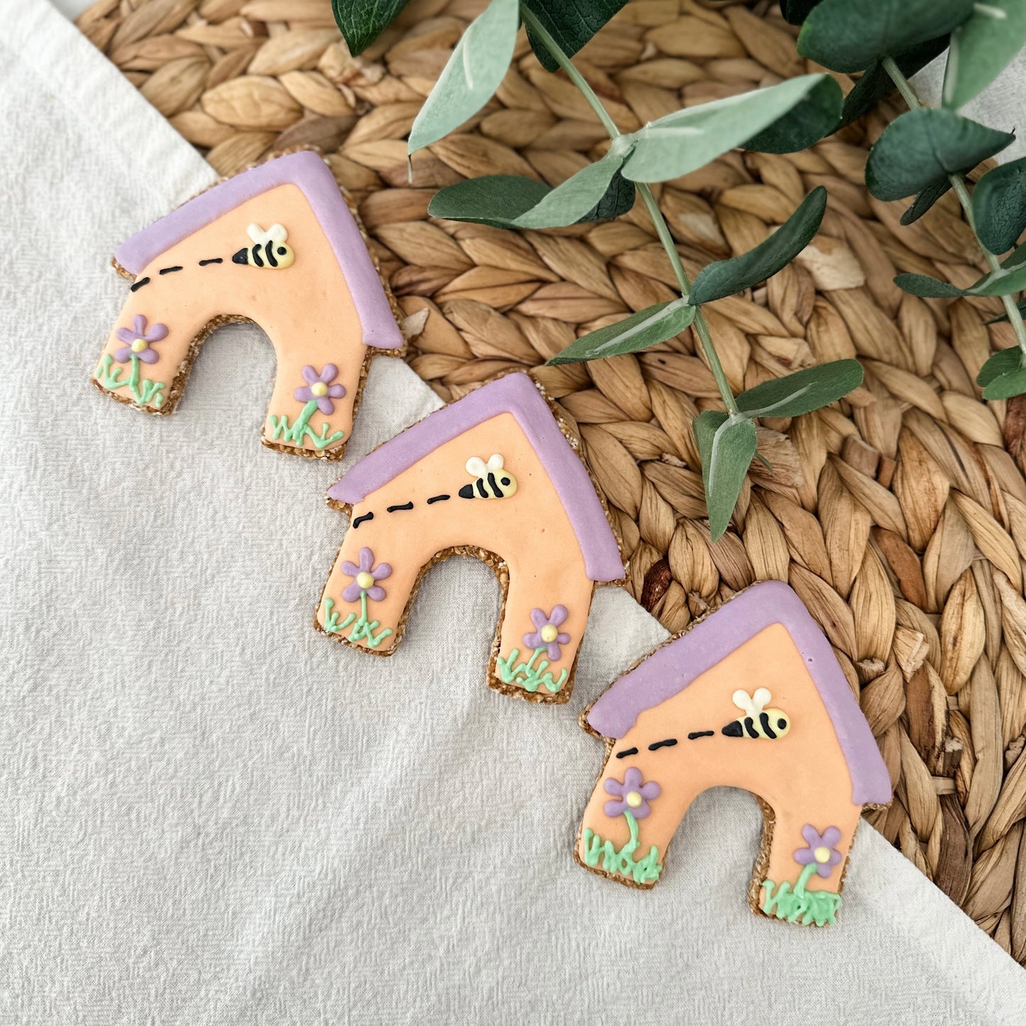 “Spring Dog House” Cookie