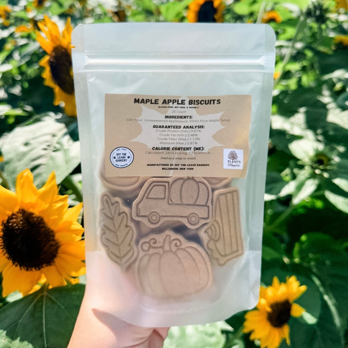 "Pawtumn Vibes" Stamped Bag