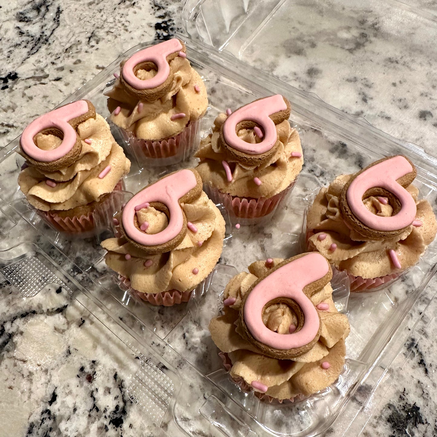 Mini Cupcakes (pick up only)