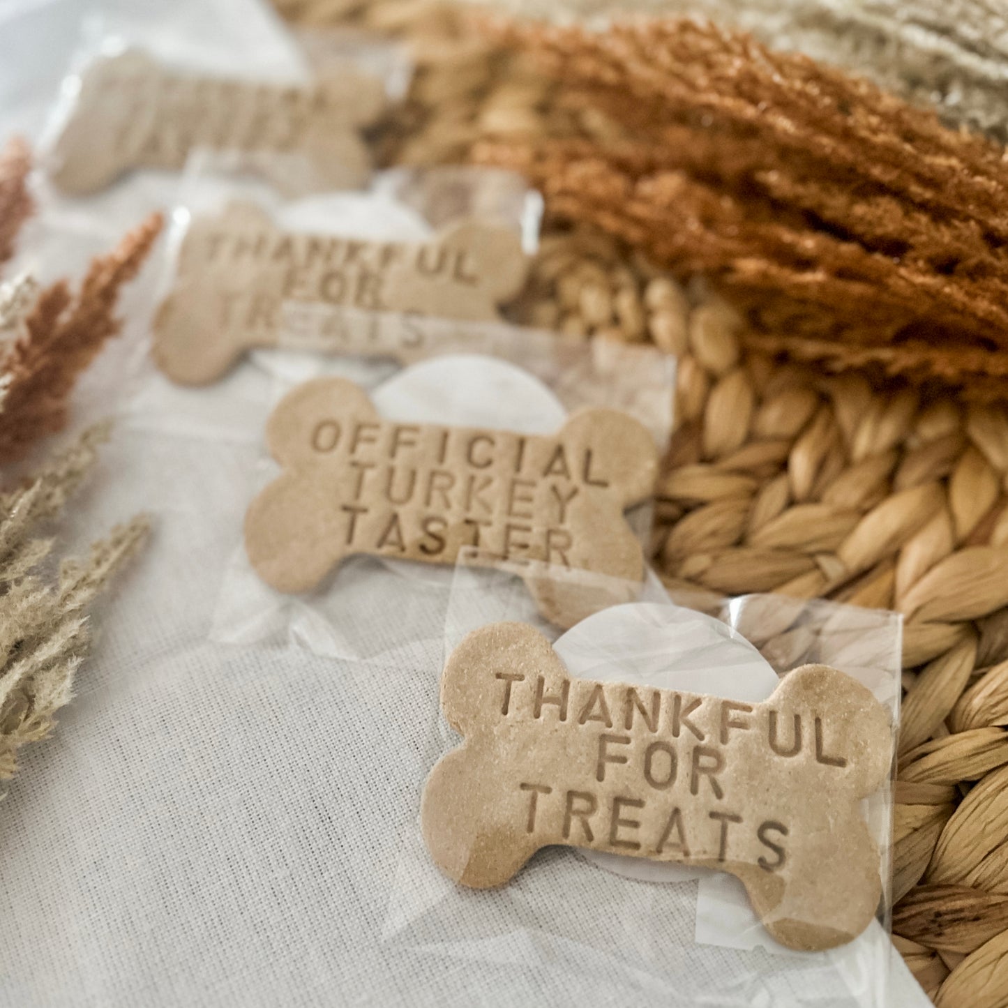 Seasonal Stamped Cookies